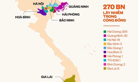 Infographic: 270 bệnh nhân Covid-19 lây nhiễm trong cộng đồng ở những tỉnh, thành phố nào?