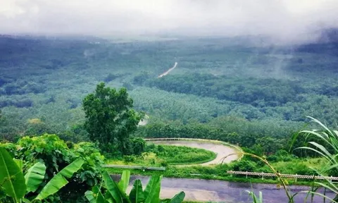 Bình Thuận: Khu phức hợp Centraland hơn 6.000 tỷ có 107ha là đất rừng