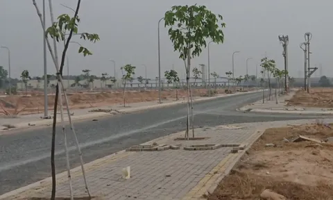 Bình Dương: Nhiều sai phạm tại dự án Nam Tân Uyên