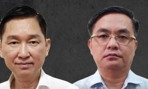 Ông Trần Vĩnh Tuyến, Trần Trọng Tuấn sai phạm do nể nang em trai nguyên Bí thư Thành uỷ