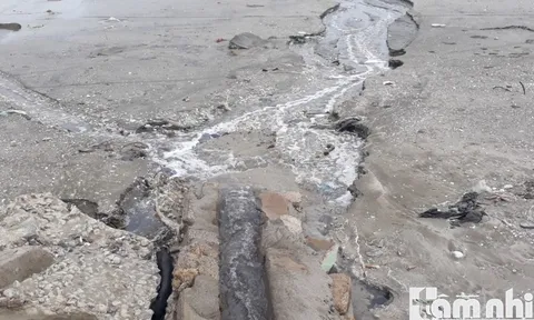 Nghệ An: Công ty TNHH thủy hải sản Khánh Vinh xả thải trực tiếp ra môi trường