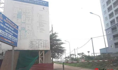 Rác thải bủa vây dự án nghìn tỷ ‘đắp chiếu’ hàng chục năm, dân tận dụng trồng rau