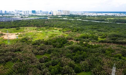 Vụ sai phạm 32ha đất Phước Kiển: Công ty Quốc Cường Gia Lai liên quan gì?