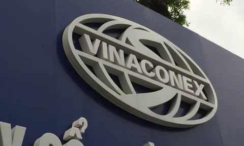 Vinaconex "bốc hơi" 40% lợi nhuận sau kiểm toán