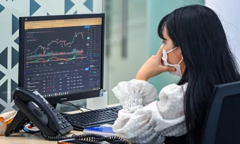 Khi doanh nghiệp thủy sản đi đầu tư chứng khoán