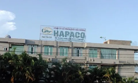 Phó Tổng giám đốc Tập đoàn HAPACO (HAP) bị xử phạt vi phạm trong lĩnh vực chứng khoán