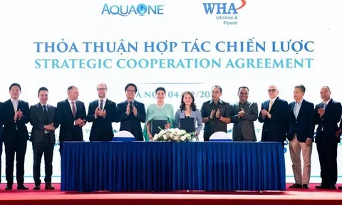 Nhà đầu tư nước ngoài ‘tố’ công ty của Shark Liên vi phạm hợp đồng