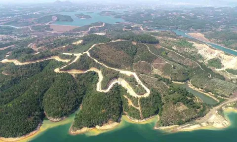 Lâm Đồng: Siêu dự án của Sài Gòn - Đại Ninh "chiếm" đất rừng, thoát bị thu hồi