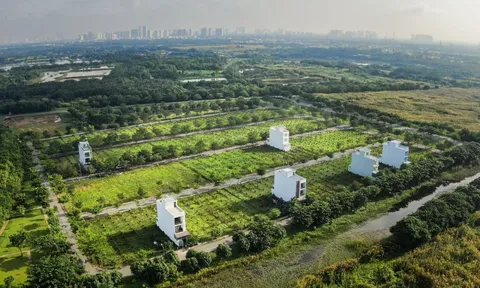 Loạt dự án lớn của công ty bất động sản bị đình chỉ Vạn Phát Hưng