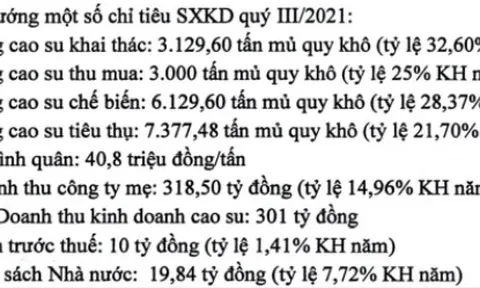 Cao su Phước Hoà (PHR): Hụt tiền đền bù đất, lợi nhuận quý III/2021 giảm 54% về 64 tỷ đồng