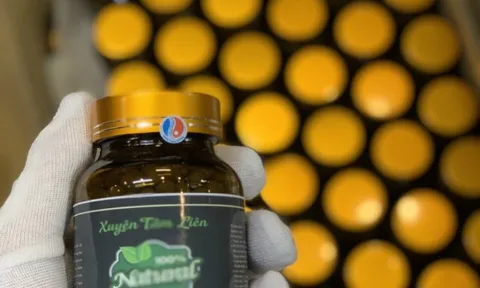 Nhà thuốc Dũng Tuyền Đường bán viên uống Xuyên Tâm Liên chưa được cấp phép?