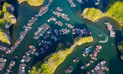 Du lịch tắc vì nhiều địa phương vẫn 'chốt cửa'