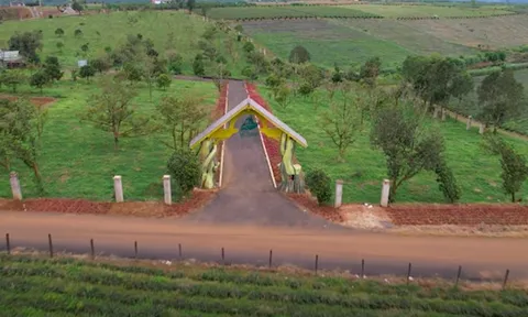 Lâm Đồng: Những ông trùm phân lô, bán nền “đang làm mưa làm gió” tại huyện Bảo Lâm?