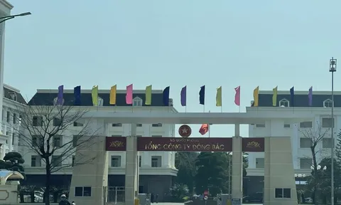 Chuyện về thương hiệu Đông Bắc và các gói thầu tiết kiệm thấp cho ngân sách Nhà nước