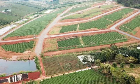 Lâm Đồng đề xuất biện pháp ngăn dự án "ma" núp bóng việc tách thửa