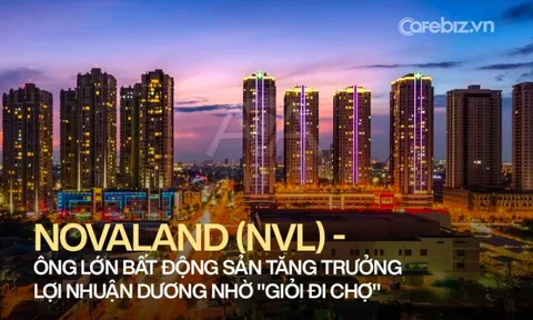 Tuyệt chiêu “mua rẻ” của ông lớn bất động sản Novaland: Chỉ 3 chuyến “đi chợ” đủ kiếm nửa số lãi cả năm, bí quyết nằm ở đâu?
