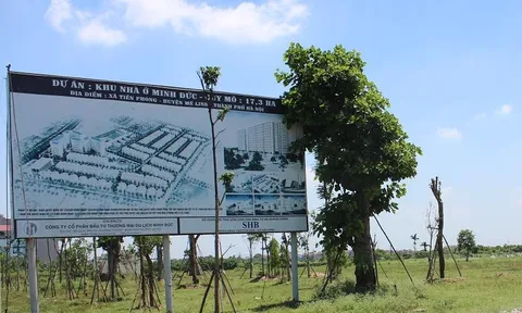 379 dự án bất động sản chậm triển khai sắp bị xử lý