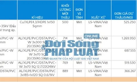 Công ty Điện lực Hải Dương – Bài 2: Giám đốc Phạm Trung Nghĩa phê duyệt gói thầu có dấu hiệu đội giá gần 6 tỷ đồng