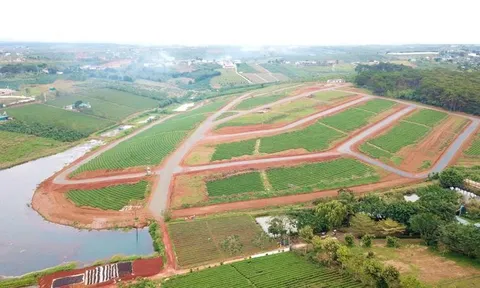 Lâm Đồng: Tìm ra trùm phân lô số 1 Việt Nam