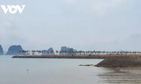 Dự án Sonasea Vân Đồn Harbor city: Mới san nền nhưng biệt thự được rao bán tràn trên mạng