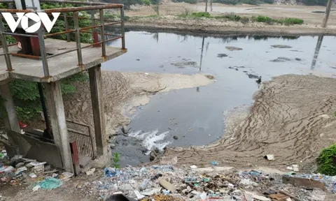 Sông Cầu lại "oằn mình" gánh nước thải đổ trộm gây ô nhiễm môi trường