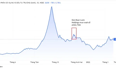 Louis Holdings mua chui hơn 1 triệu cổ phiếu TGG
