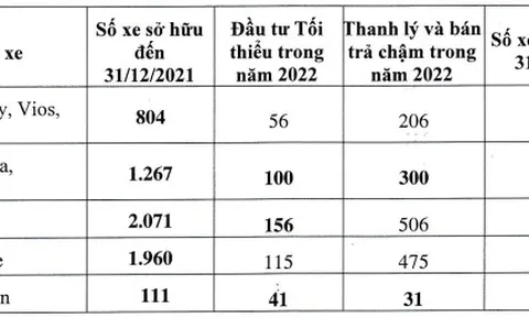Lỗ 2 năm liên tiếp, cổ phiếu VNS vào diện kiểm soát