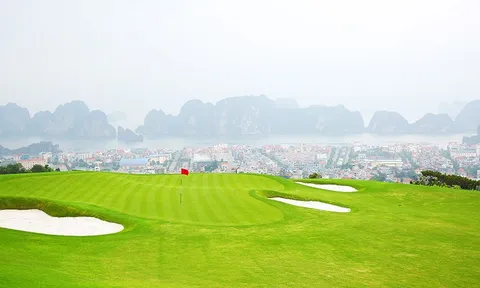 Rà soát toàn diện các dự án của Tập đoàn FLC tại Quảng Ninh