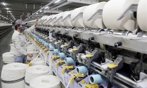 Tín dụng TP Hồ Chí Minh tăng gần gấp đôi so với năm ngoái