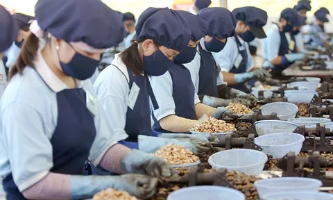 Kinh tế Việt Nam đang trở lại quỹ đạo tăng trưởng nhanh