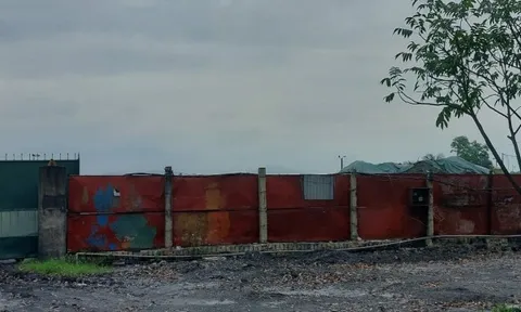 Hải Phòng: Doanh nghiệp chế biến than xâm phạm hành lang thoát lũ, gây ô nhiễm môi trường?