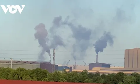 Bà Rịa – Vũng Tàu: Nhiều nhà máy xả khí thải có mùi hoá chất 