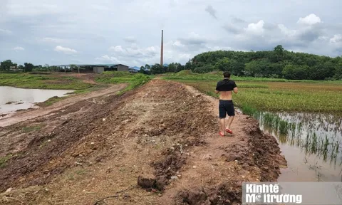 Phú Thọ: Nhà máy gạch Hà Bích hoạt động gây ô nhiễm môi trường