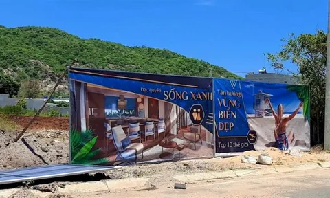 Bà Rịa - Vũng Tàu: Công ty An Phú Thịnh Investment bán đất nền có dấu hiệu sai phạm pháp luật?