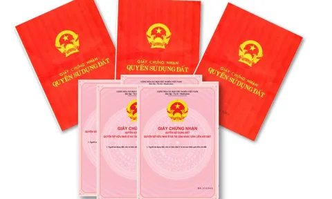 Cần làm gì khi sổ hồng, sổ đỏ bị cấp chậm?