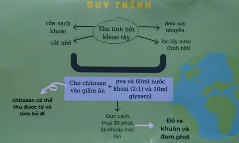 Học sinh cấp 3 biến bột khoai tây thành nhựa sinh học