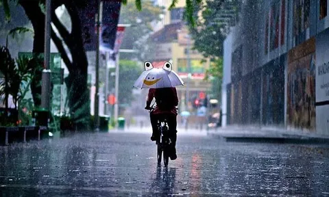 Vì đâu VN-Index liên tục "sớm nắng chiều mưa"?