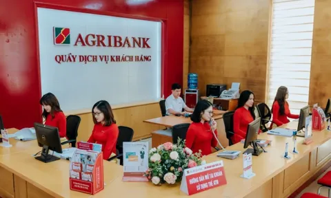 Sau 15 năm, Agribank vẫn chưa thể cổ phần hoá