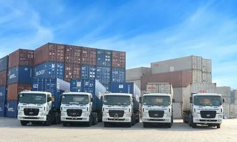 Do đâu lợi nhuận sau thuế của Vận tải Đa phương thức Duyên Hải “lao dốc” tới 95%?