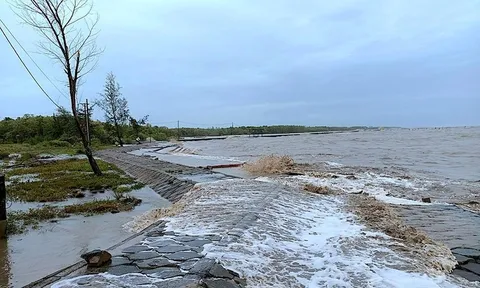 Cà Mau công bố tình huống khẩn cấp về thiên tai với sạt lở đê biển Tây