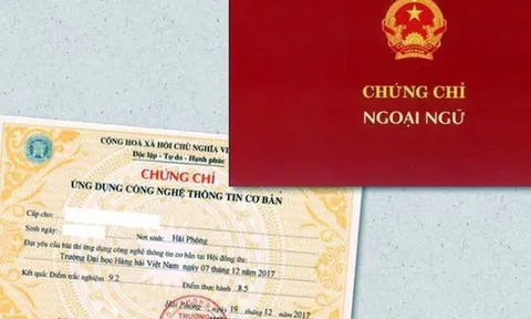 Những vị trí công chức, viên chức nào được bỏ chứng chỉ ngoại ngữ, tin học