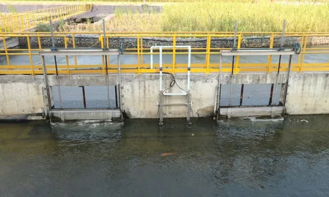 Không có quyết định phê duyệt kết quả thẩm định đánh giá tác động môi trường theo quy định xử phạt?