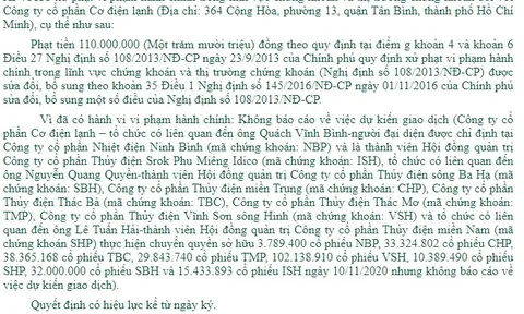 Lãnh đạo REE nói gì sau khi bị xử phạt 110 triệu đồng do giao dịch "chui" 265 triệu cổ phiếu?