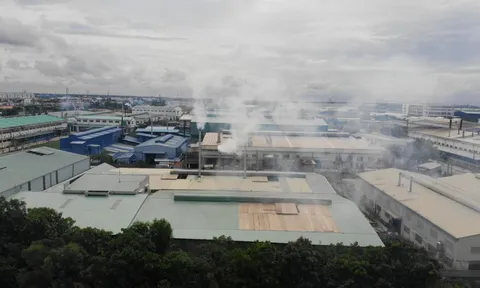 Long An: Phấn đấu xử lý dứt điểm tình trạng ô nhiễm môi trường tại các cụm công nghiệp