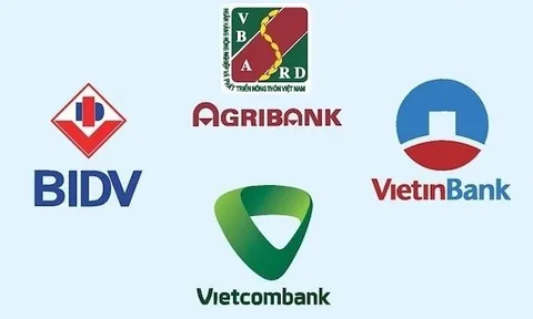 “Big 4” ngân hàng tiếp tục rao bán loạt bất động sản giá trị lớn để thu hồi nợ