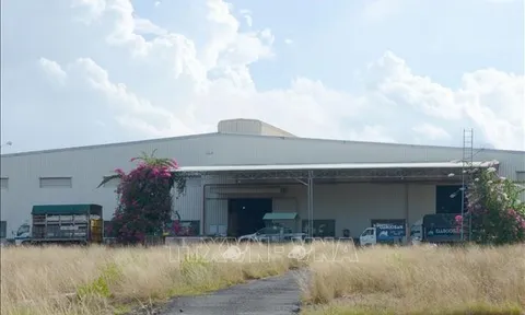 Vụ 'xí phần' đất công nghiệp tại Đà Nẵng: Cần xử lý dứt điểm để tránh thất thu ngân sách