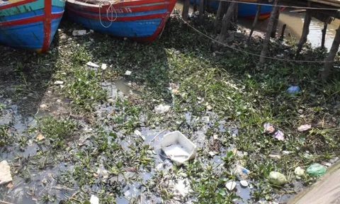 Ô nhiễm, xuống cấp trầm trọng ở cảng cá