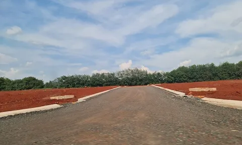 Bình Phước: Nhiều sai phạm trong lĩnh vực đất đai tại huyện Chơn Thành