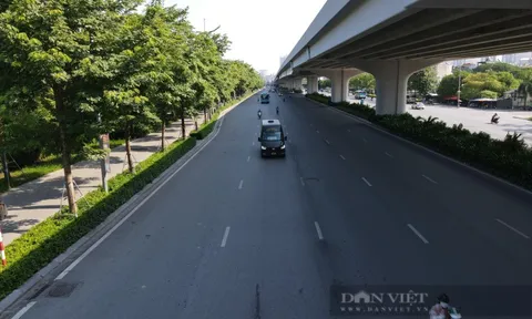 Tuyến đường rợp bóng mát trong những ngày Hà Nội nắng nóng đỉnh điểm