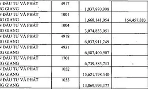 Cục thuế Hà Nội “bêu tên” doanh nghiệp nợ thuế: Long Giang Land “đầu bảng”